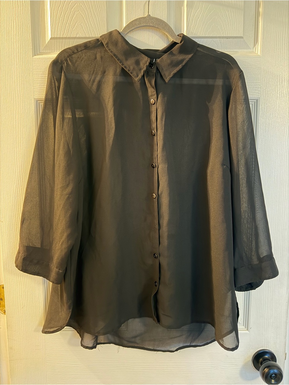 Sheer Black Button-Front Women's Shirt